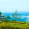 explore.with.far