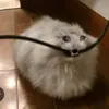 nafakackip