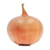 001_onion