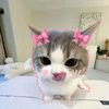 hey_ilove_you_bby