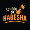 School of Habesha