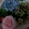 irazieva10