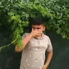 sahandsafin285