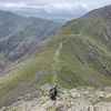 h_sutton8