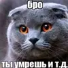 tyny114