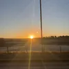 xxsofiafresispamxx