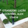 lazr.costinel.alex
