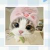 doni.salaman76