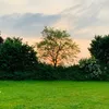 d_d07666