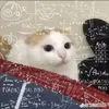 nhuquynh_2045