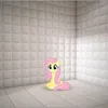 mi._.509