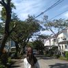 nisszz023