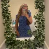 tabby_priv4