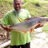 zukanain.alwi