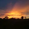 nicocoy74