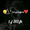 t_j313jk
