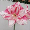 nguyn.th.thnh2216