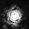 vntn16.12