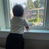 analysss_2