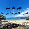 sohaib6029