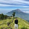 salsaasukaisall