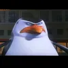 penguinzkt