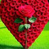 user7105192110442