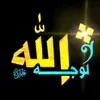 user427900274968