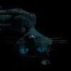 pi0tr3k.1
