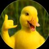 wkkwkwkw438