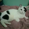 elizabeth.karen39