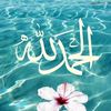 user7594193574431