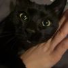 glxtchingttv