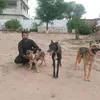Arshad Hussain990