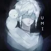 umi_idv