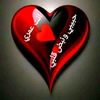 user444195753167