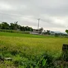 hong.duyn.duyn1