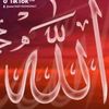ao.for