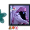 user2513461536617