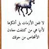 user8751759304233
