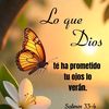 debanny.salez