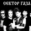 sektor_gaza48