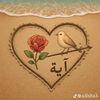 dinamohamed7957