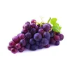 grapemasterpro