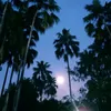 .blueb3rry40