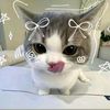 cu_tiepie4