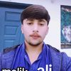 ali2324254
