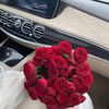 dody.alfrgany