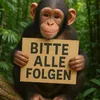 moli.der.mogli