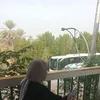 sfssf_87